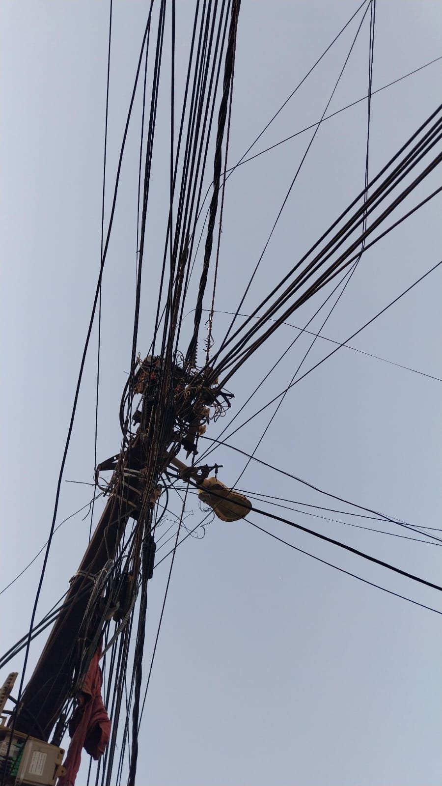 शहीद नगर की सड़कों पर गड्ढे और झूलते तार बने मुसीबत,दुर्गा उत्सव से पहले रहवासियों ने व्यवस्थाएं सुधारने की उठाई मांग 1 शहीद नगर की सड़कों पर गड्ढे और झूलते तार बने मुसीबत,दुर्गा उत्सव से पहले रहवासियों ने व्यवस्थाएं सुधारने की उठाई मांग | New India Times