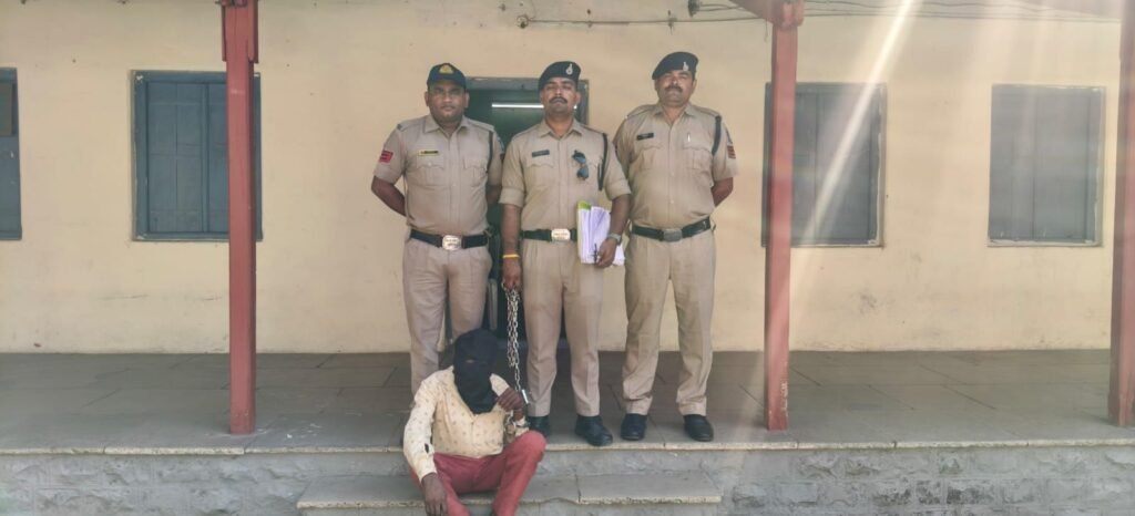 तिरला में कपास के खेत में उगाए जा रहे गांजे का पर्दाफाश, 565 पौधे जब्त; आरोपी गिरफ्तार | New India Times