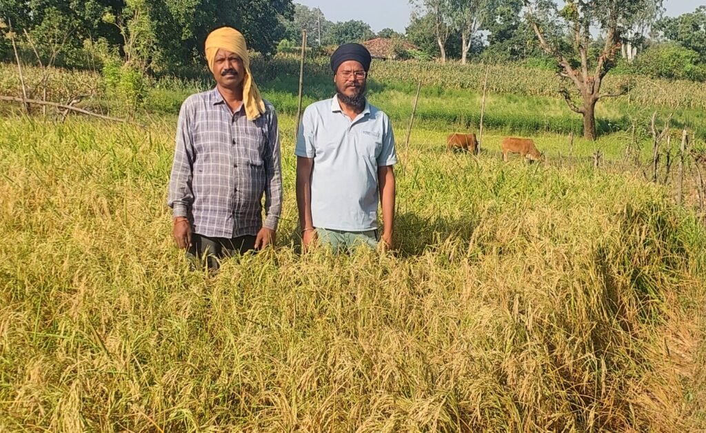 22 दिनों से जला पड़ा ट्रांसफॉर्मर, सूख रही किसानों की फसलें; बिजली विभाग की लापरवाही से ग्रामीण परेशान | New India Times