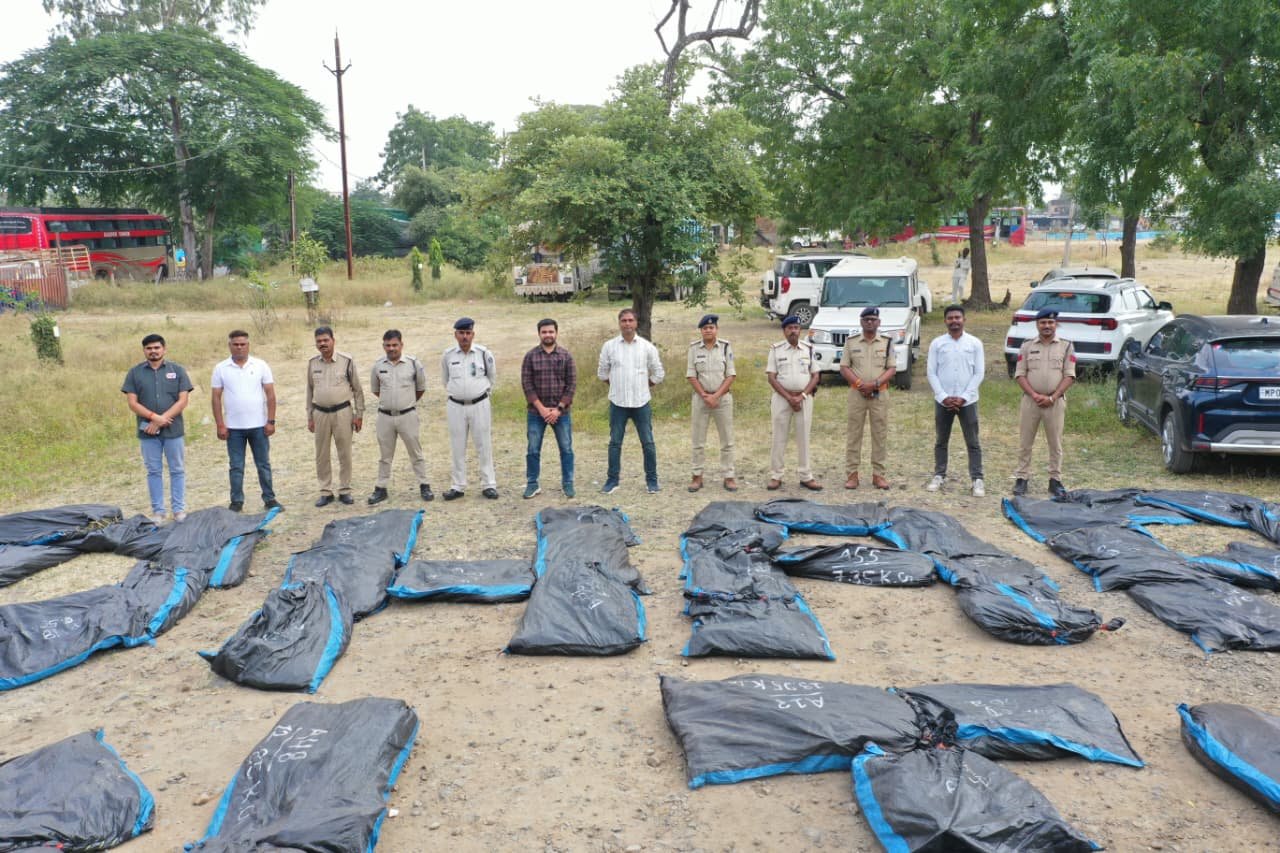 धार में गांजे की अवैध खेती पर पुलिस की बड़ी कार्रवाई, 3,345 पौधे जब्त; कीमत 4.43 करोड़ रुपये 1 धार में गांजे की अवैध खेती पर पुलिस की बड़ी कार्रवाई, 3,345 पौधे जब्त; कीमत 4.43 करोड़ रुपये | New India Times