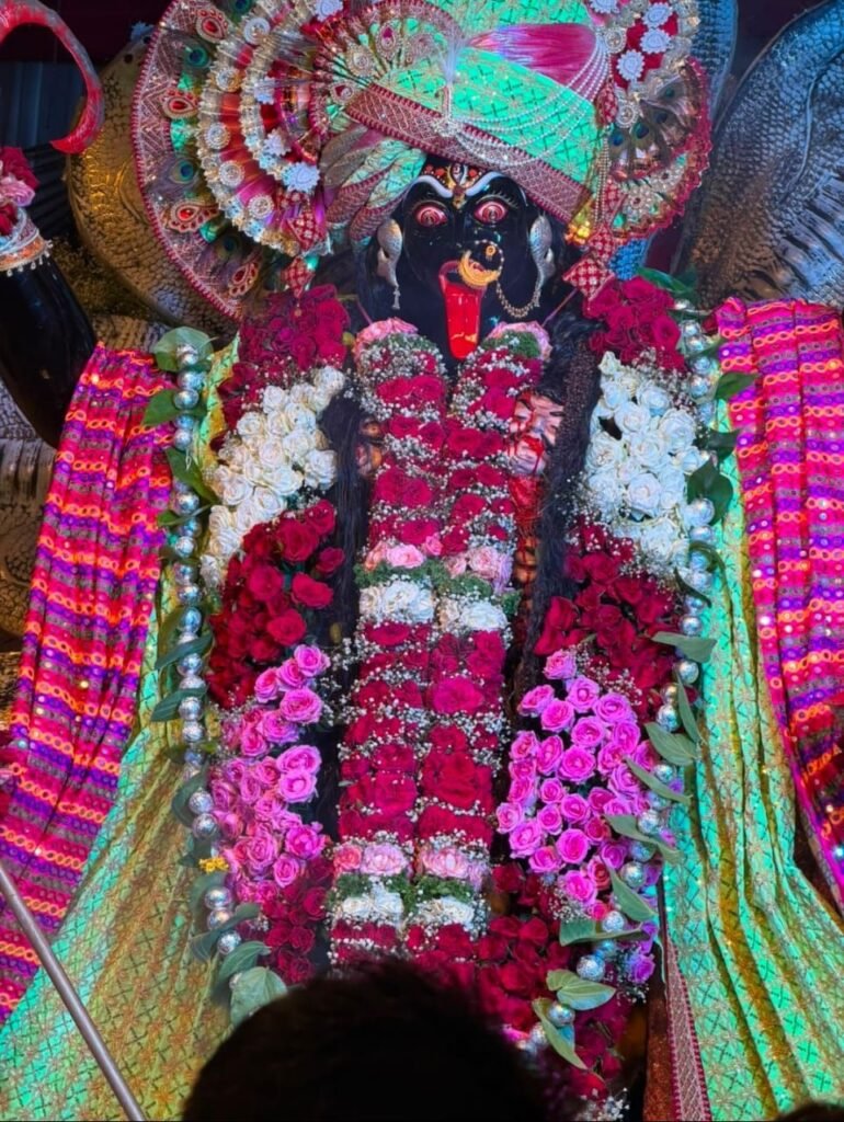 मेवतीपुरा उन्नावगेट में नम आंखों से माता रानी को दी गई विदाई, विसर्जन यात्रा में उमड़े हजारों श्रद्धालु | New India Times