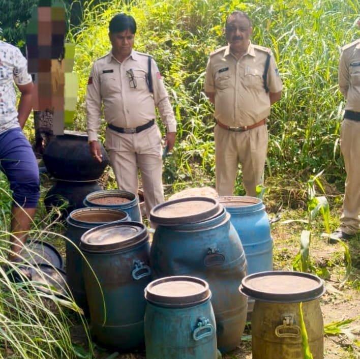 जंगल में चल रहा था अवैध महुआ लाहन का कारोबार, दमुआ पुलिस ने 12 टन लाहन किया नष्ट 2 जंगल में चल रहा था अवैध महुआ लाहन का कारोबार, दमुआ पुलिस ने 12 टन लाहन किया नष्ट | New India Times