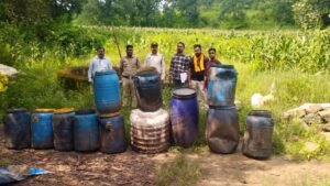 जंगल में चल रहा था अवैध महुआ लाहन का कारोबार, दमुआ पुलिस ने 12 टन लाहन किया नष्ट